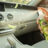 Honeydew Premium Air Freshener - პრემიუმ არომატიზატორი ნესვის არომატით