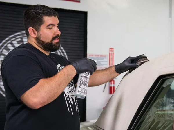 Convertible Top Cleaner - კაბრიოლეტის სახურავის საწმენდი