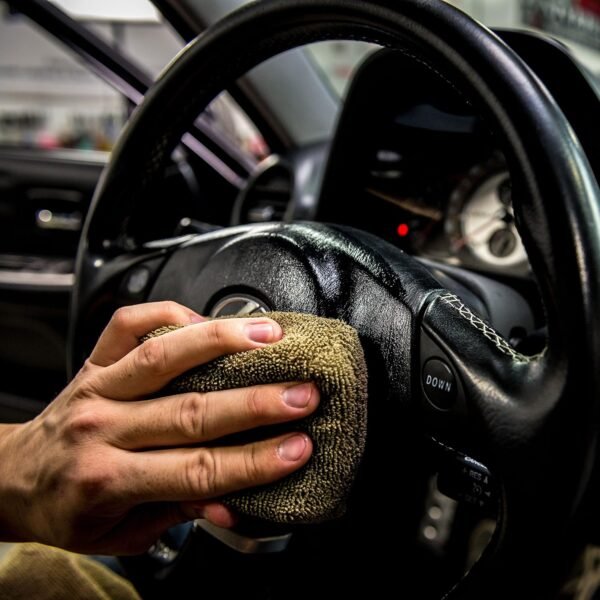 A1LxyYrhFiL._AC_SL1500_ Leather Serum Protectant